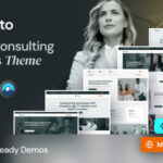 Budgeto - Business Consulting WordPress Theme