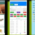 Color prediction website script - Codelexa
