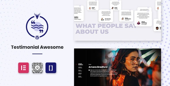 Testimonial Awesome Pro - Testimonial Plugin WordPress Slider